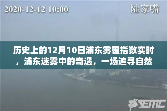 目不转睛 第4页