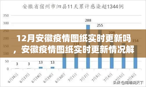 安徽疫情图纸实时更新解析，以十二月的最新情况为例