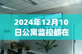 2024年公寓监控技术革新，实时显示背后的背景、事件与影响探究