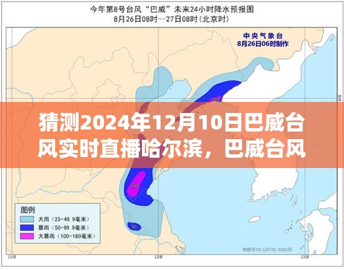 巴威台风实时直播哈尔滨，预测、体验与用户分析