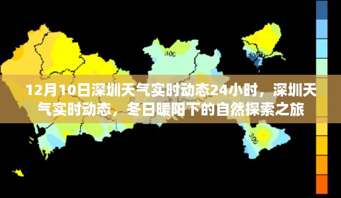 caoshuaicongshi 第4页