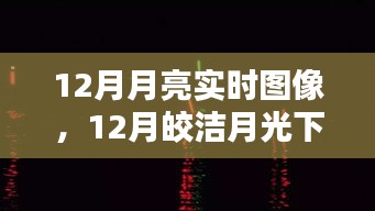 12月皎洁月光下的浪漫，实时月亮图像解析与欣赏