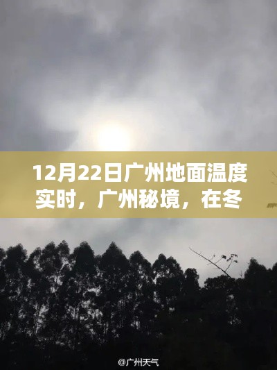 交货现场 第163页