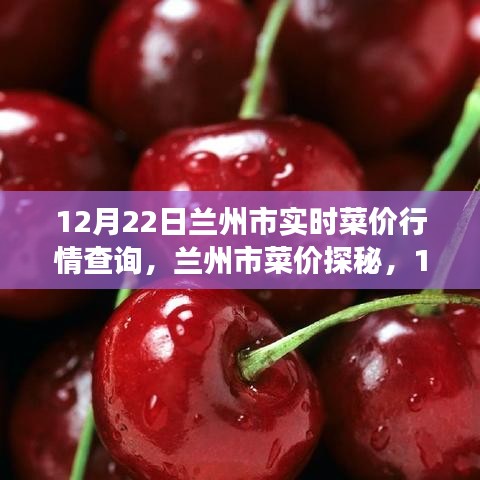 兰州市菜价行情探秘，菜篮子里的自然美景与心灵之旅（12月22日）