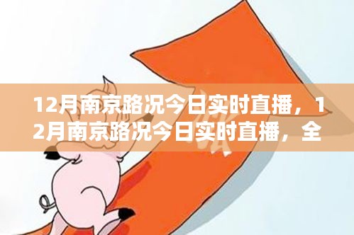 南京路况实时直播，全面评测与详细介绍（12月版）