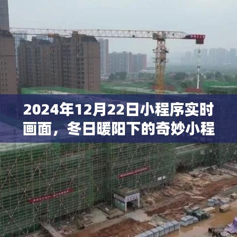 zhanchiyufei 第4页