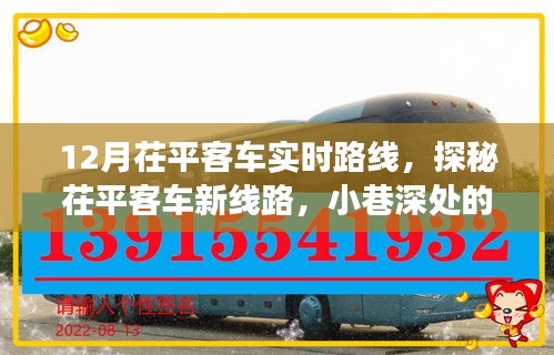 探秘茌平客车新线路，十二月实时路线深度游，小巷里的惊喜之旅