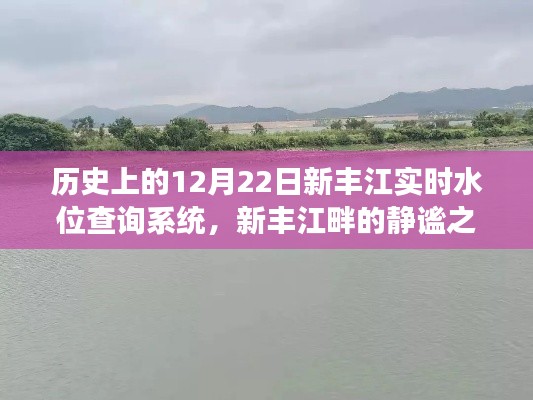 历史上的新丰江水位查询系统与心灵之旅的交汇点，静谧之旅的实时水位记录探索