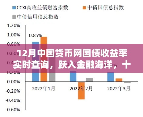 十二月实时查询中国货币网国债收益率，金融海洋中的自信与成就之源