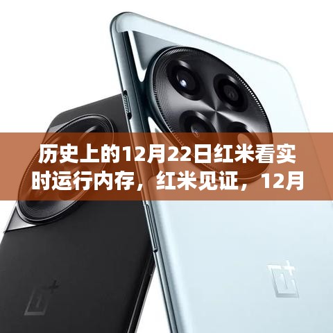 红米见证温馨时刻，历史上的12月22日实时内存故事回顾
