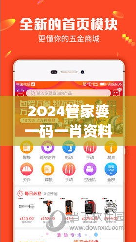 2O24管家婆一码一肖资料,前沿评估说明_XP10.395