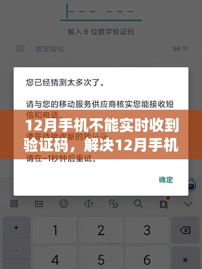 解决12月手机无法实时接收验证码问题，详细指南与解决方案