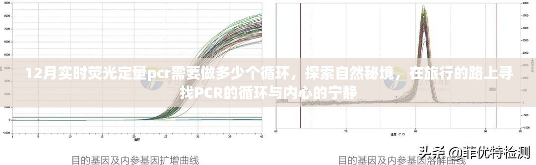 yizhangyixi 第4页