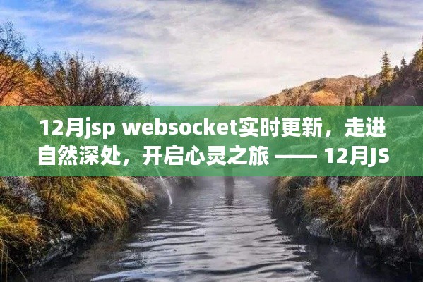 12月JSP WebSocket实时更新，心灵与自然的交融之旅