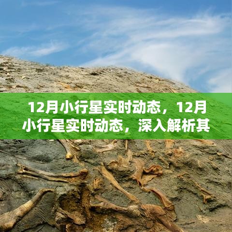 12月小行星动态解析，多方观点探讨其影响