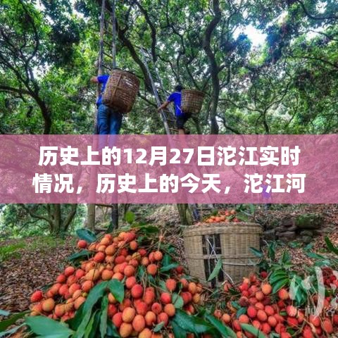 历史上的今天，沱江河畔的变革与自我超越之旅——12月27日实时情况回顾