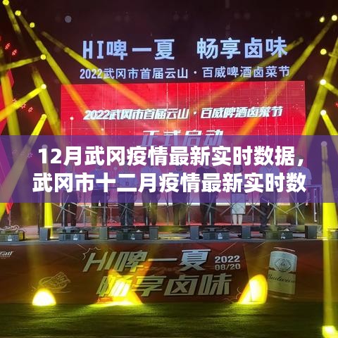 武冈市十二月疫情最新实时数据深度解析报告