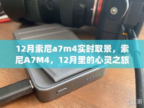 索尼A7M4 12月实时取景，与自然美景共舞的心灵之旅