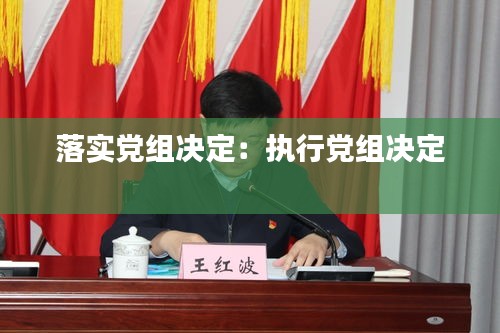 落实党组决定：执行党组决定 