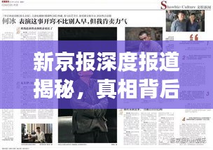 新京报深度报道揭秘，真相背后的洞察与深度探讨