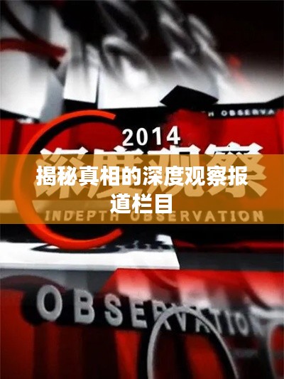 揭秘真相的深度观察报道栏目