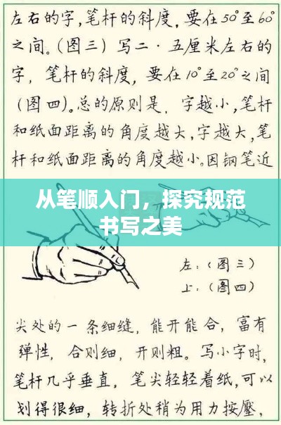 从笔顺入门，探究规范书写之美