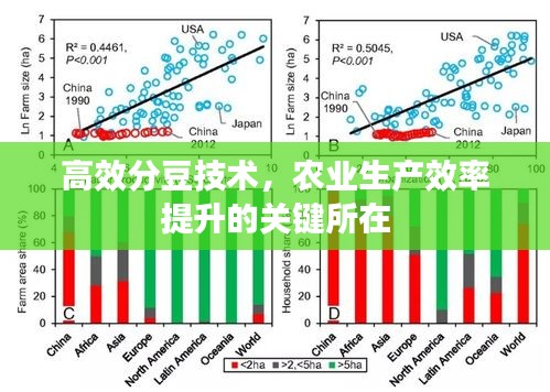 高效分豆技术，农业生产效率提升的关键所在