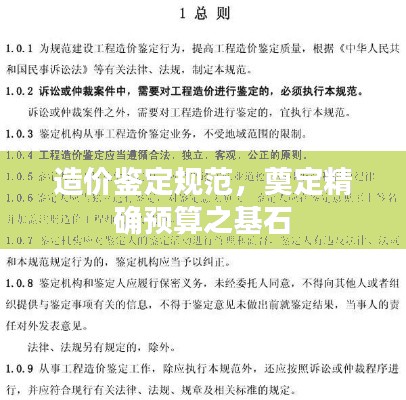 造价鉴定规范，奠定精确预算之基石