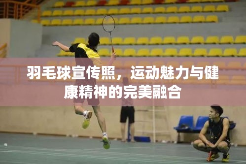 羽毛球宣传照，运动魅力与健康精神的完美融合