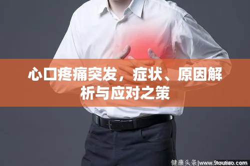 风韵犹存 第2页
