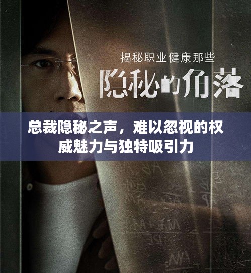 总裁隐秘之声，难以忽视的权威魅力与独特吸引力