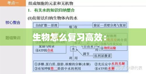 生物怎么复习高效： 