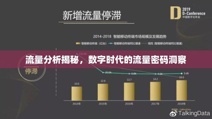 流量分析揭秘，数字时代的流量密码洞察