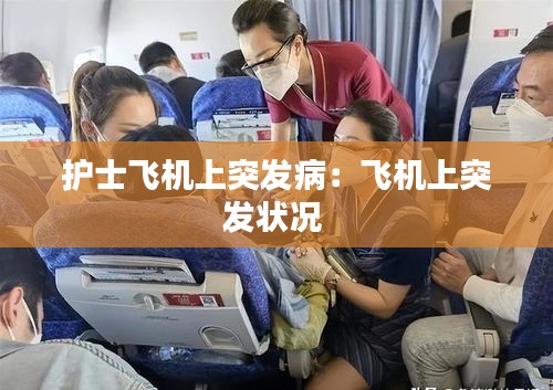 因陋就简 第3页