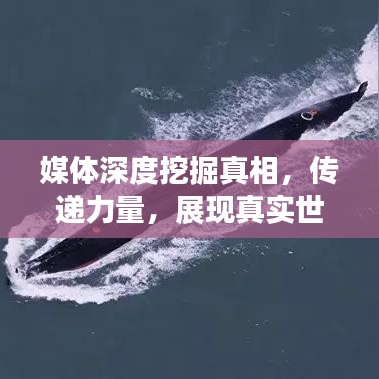 媒体深度挖掘真相，传递力量，展现真实世界