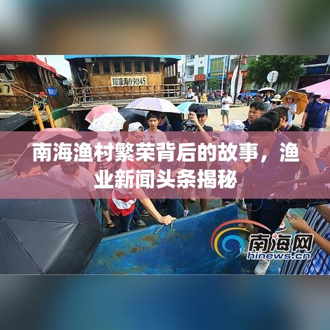 南海渔村繁荣背后的故事，渔业新闻头条揭秘
