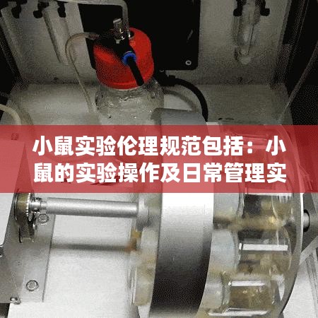 小鼠实验伦理规范包括：小鼠的实验操作及日常管理实验报告 