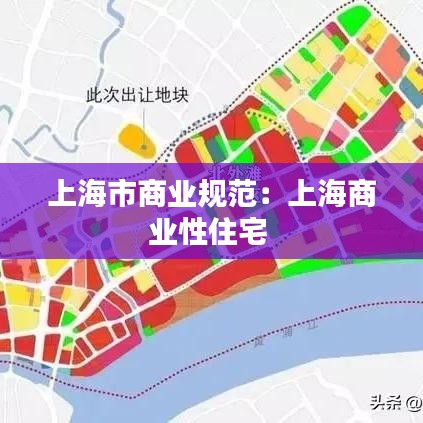 上海市商业规范：上海商业性住宅 