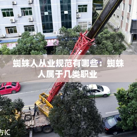 蜘蛛人从业规范有哪些：蜘蛛人属于几类职业 