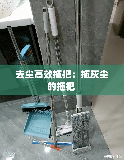 去尘高效拖把：拖灰尘的拖把 