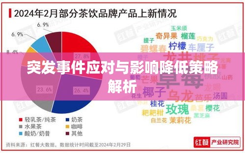 突发事件应对与影响降低策略解析