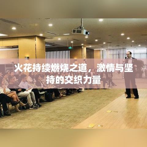jingxianzhiniao 第3页