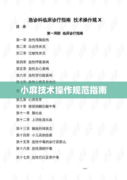 小麻技术操作规范指南