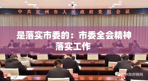 是落实市委的：市委全会精神落实工作 