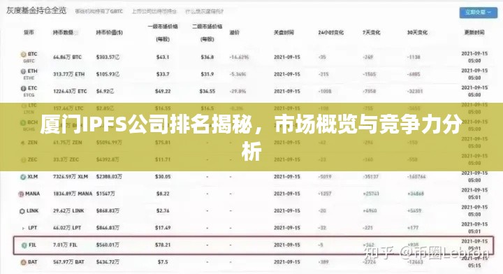 厦门IPFS公司排名揭秘，市场概览与竞争力分析