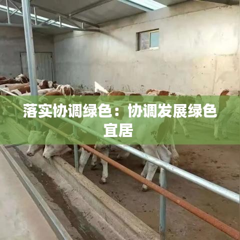 落实协调绿色：协调发展绿色宜居 
