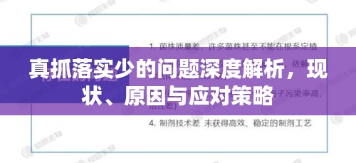 真抓落实少的问题深度解析，现状、原因与应对策略