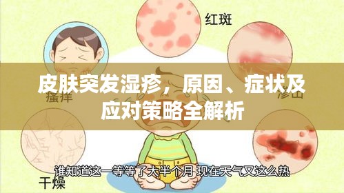 皮肤突发湿疹，原因、症状及应对策略全解析