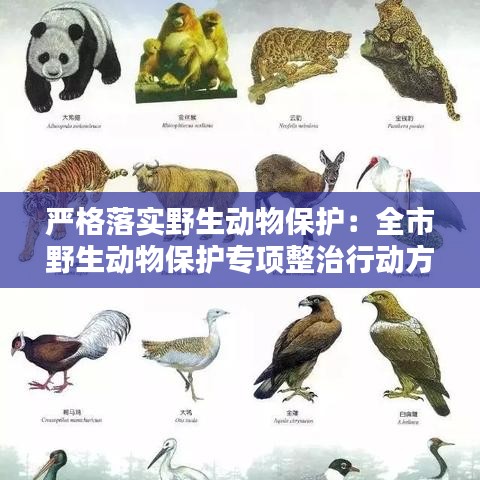 严格落实野生动物保护：全市野生动物保护专项整治行动方案 