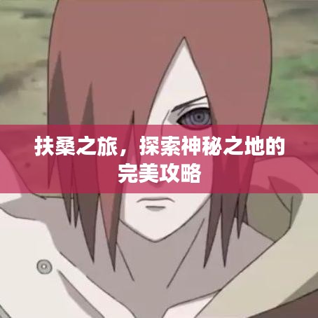 扶桑之旅，探索神秘之地的完美攻略